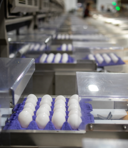 Minnich Eggs processing facility
